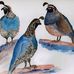 Anne Schuster and Bellfountain Art - Facebook