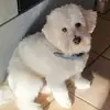 Anne Schuster - @anne.schuster3 - TikTok