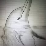 Scraggyanne - @scraggyanne - Instagram