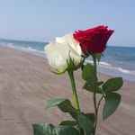 Anne Serrano - @anneserrano14 - Instagram