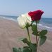 Anne Serrano - Facebook