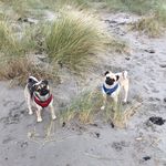 Ann Sheehy - @ann.sheehy.359 - Instagram