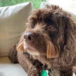Anne  Silver - @silver9976 - Instagram