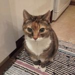 Anne Silver - @viiruski - Instagram