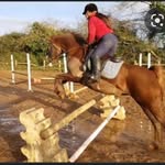 anne.sloughfarmgirl - @anne.sloughfarmgirl - Instagram