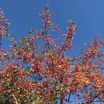 Anne-Marie Solari Bozzi - @amsolaribozzi - Instagram