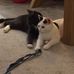 Anne Spears - Facebook