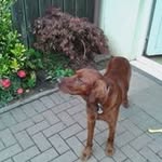 Anne Spencer - @anne.spencer.3781 - Instagram