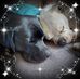 Anne Springer - Facebook