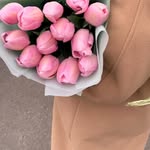 Anne Springer - @anne_springerh_516 - Instagram