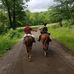 Ann Stelzer Hamilton - Facebook