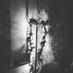 Anneliese stelzer - @anne_stelzer1 - Instagram