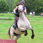 🇳🇴 Anne Stine Whittington - @mountainequestrian - Instagram