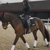 Anne Stine - @anne.stine6 - TikTok