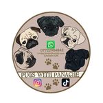 Lisa Anne Storey - @pugs_with_panache - Instagram