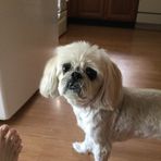 Joe Anne Strader - Facebook