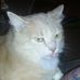 Anne Strickland - Facebook