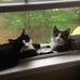 Anne Strother - Facebook