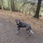 Anne Sutherland - @sutherland5437 - Instagram