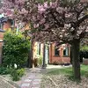 Anne Swan775 - @annieswanhome - TikTok