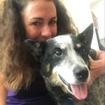 Anne Swan - @swandogs123 - Instagram