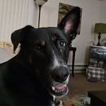 Ann Swanger - @ann_swanger - Instagram