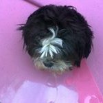 Ann Symes - @anne.symes - Instagram