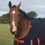 Brenda Anne Symes - @brendaannesymes - Instagram