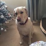 Carol Anne Symes - @carolannesymes - Instagram