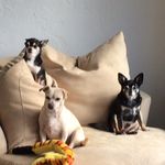 Mary Anne Symes - @maryasymes - Instagram