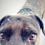 Azelynnd Anne Thacker - @azelynndanne0210 - Instagram