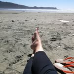 Carol-Anne Thacker - @carol_annethacker - Instagram