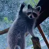 Melindaannethacker - @melindaannethacke6 - TikTok