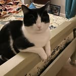 Anne Threlkeld - @athrel51 - Instagram