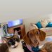 Anne Thurman - Facebook