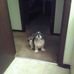 Annie Thurman - Facebook