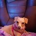Annie Thurman - Facebook