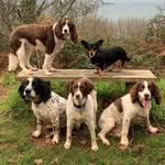 Karen Anne Tobin - @hampshire__havoc - Instagram
