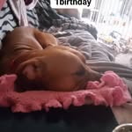 Anne Marie Toth - @anne6929marie - Instagram