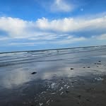 Anne Toth - @pixelieum - Instagram