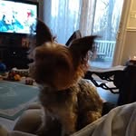 Mary Anne Toth - @toth.maryanne - Instagram