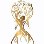 Ann Traynor - @anntraynorspiritschool - Instagram