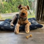 Annie Butterworth - @anne.traynor.370 - Instagram