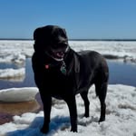 Anne Louise-Turgeon - @turgeon_anne - Instagram