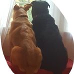 Anne Turgeon - Facebook
