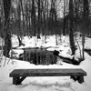 Anne Turgeon - @anne.turgeon - TikTok