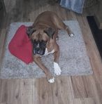 Anne Tweed - Facebook
