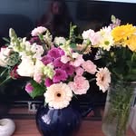 Anne Tweed Andrews - @anitaimelda1 - Instagram