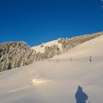 Anne Uhlemair - @anneuhlemair - Instagram