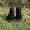Anne Underwood - @anne.underwood0 - TikTok